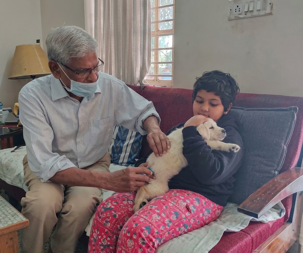 Veterinarian with Golden Retriever puppy