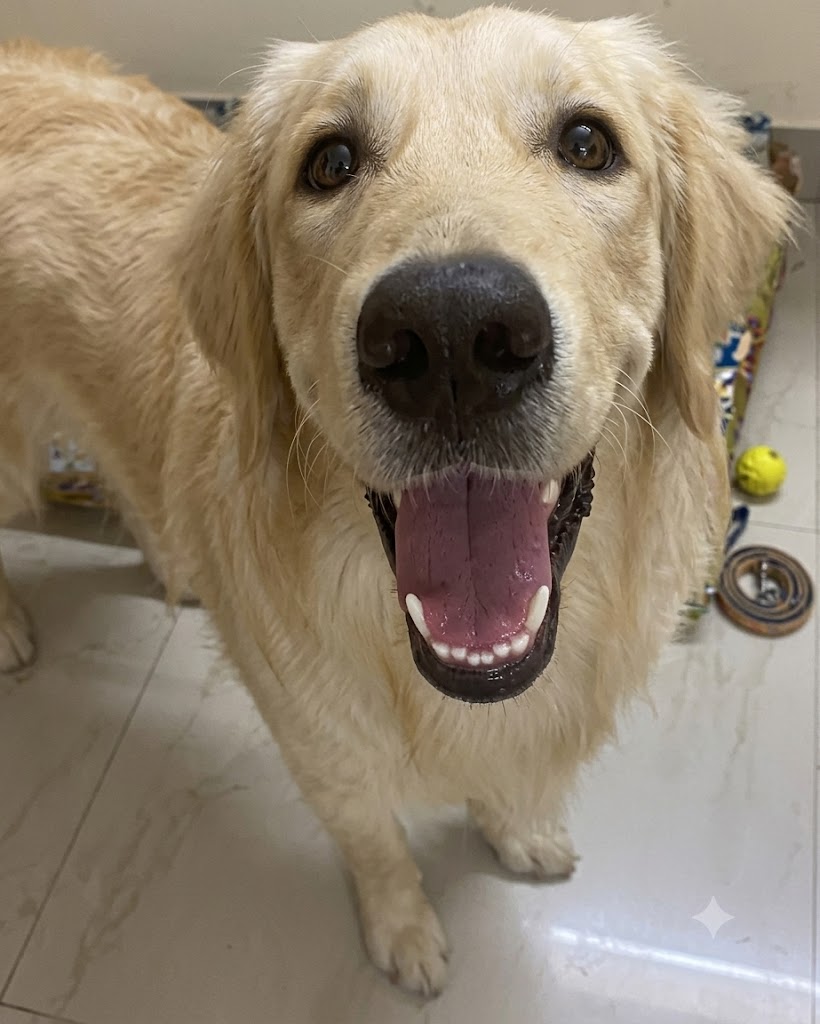 Happy owner with puppy